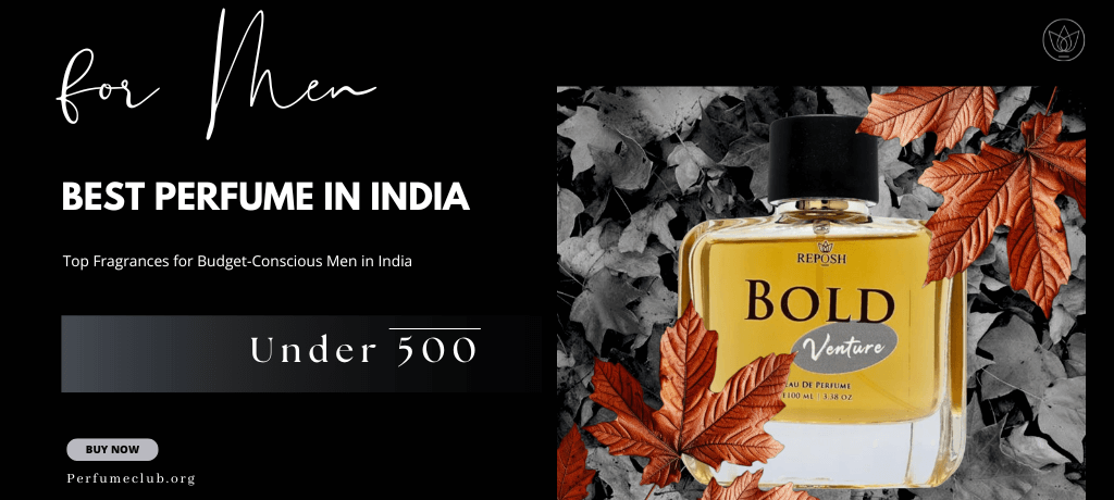 Best Perfume for Men Under 500 - Top Fragrances for Budget-Conscious Men in India